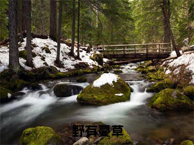 野有蔓草（季无谢）免费最新小说_季无谢（野有蔓草）免费版今日已更新