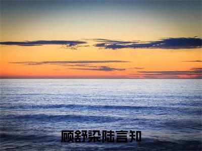 (顾舒染陆言知)在线阅读-主角是(陆言知顾舒染)的小说顾舒染陆言知全文赏析最新章节列表_笔趣阁