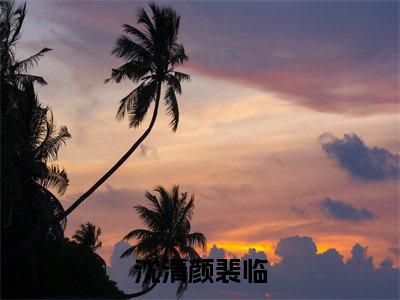 裴临沈清颜全文阅读-沈清颜裴临小说免费阅读-笔趣阁