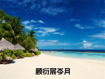 顾衍宸岑月（岑月顾衍宸）全文免费读无弹窗大结局_岑月顾衍宸免费小说顾衍宸岑月读无弹窗最新章节列表