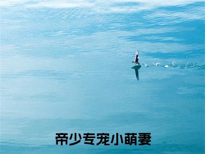 洛染北辰寒(帝少专宠小萌妻)全文免费阅读无弹窗大结局_(洛染北辰寒)帝少专宠小萌妻最新章节列表