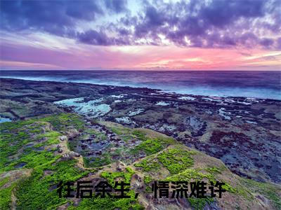 往后余生,情深难许(周珈宜傅隽庭)全文免费阅读无弹窗大结局_(往后余生,情深难许阅读全文大结局)周珈宜傅隽庭最新章节列表