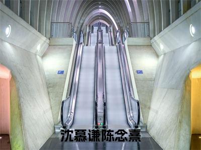 沈慕谦陈念熹(沈慕谦陈念熹精彩美文)免费阅读-小说沈慕谦陈念熹最后结局如何