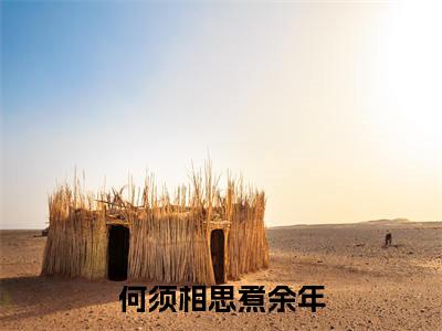 何须相思煮余年全文（宋时微陆云深）全文免费阅读无弹窗大结局_宋时微陆云深全文最新章节列表