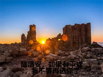 陆清安,如果有下次,我不要再选你了小说全文免费阅读-陆清安沈语嫣小说最新章节列表