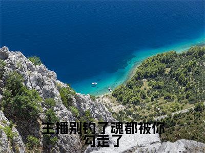 主播别钓了魂都被你勾走了(郁雾郁岚)小红书热荐小说-主播别钓了魂都被你勾走了女生爱看的小说全集资源