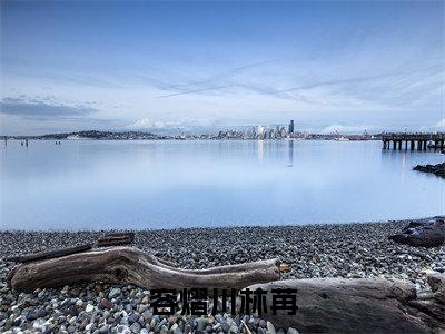 容熠川林苒小说热门榜单免费阅读,林苒容熠川抖音新上热文分享_笔趣阁(容熠川林苒)