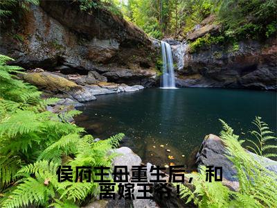 (侯府主母重生后,和离嫁王爷!)宋明礼小说推荐阅读-主角为宋明礼的小说叫什么侯府主母重生后,和离嫁王爷!
