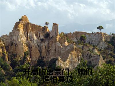 开局脱离宗门,她们追悔莫及(唐墨)全文免费阅读无弹窗大结局_唐墨小说全文无弹窗