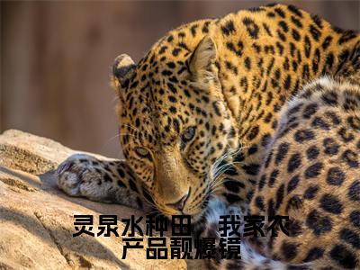 灵泉水种田,我家农产品靓爆镜(夏岚)小说全文免费读无弹窗大结局_灵泉水种田,我家农产品靓爆镜小说全文免费阅读最新章节列表