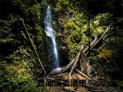 鹿闻溪姜清聿(姜清聿鹿闻溪)全文免费阅读无弹窗大结局_鹿闻溪姜清聿全文免费阅读无弹窗最新章节列表