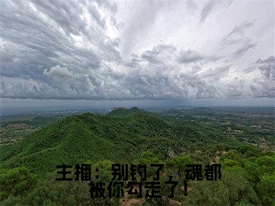 郁雾郁岚的小说免费阅读(主播:别钓了,魂都被你勾走了!的小说免费阅读)全文完整版免费阅读