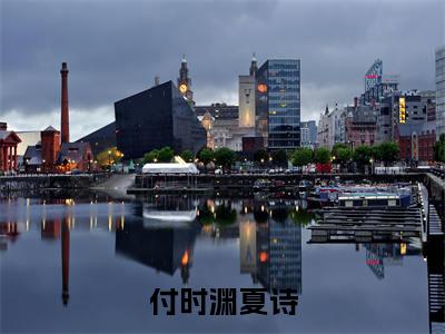付时渊夏诗小说(付时渊夏诗)全文免费阅读无弹窗大结局_付时渊夏诗小说最新章节列表