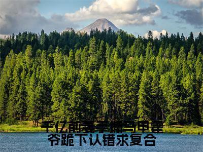 千亿前妻手撕马甲霍爷跪下认错求复合小说(叶晚心霍行铮)全文在线阅读无弹窗大结局千亿前妻手撕马甲霍爷跪下认错求复合
