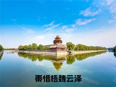 小说秦惜梧魏云泽全文阅读无弹窗大结局_(秦惜梧魏云泽)秦惜梧魏云泽最新章节列表_笔趣阁