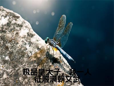 极品皇太子,我一人征服满朝文武全文(宁炎)全文免费阅读无弹窗大结局_宁炎最新章节列表_笔趣阁(极品皇太子,我一人征服满朝文武)