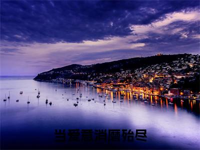 叶梨林崧明(当爱意消磨殆尽)免费小说全文完整版-当爱意消磨殆尽最新章节完整版阅读