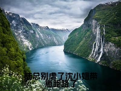 陆总别虐了沈小姐带崽跑路了(沈薇茗)全文在线阅读无弹窗大结局_(陆总别虐了沈小姐带崽跑路了在线阅读)最新章节列表_笔趣阁