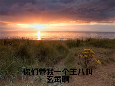 你们管我一个王八叫玄武啊(小冥)全文免费阅读无弹窗大结局_你们管我一个王八叫玄武啊最新章节列表_笔趣阁