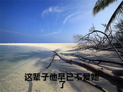 这辈子他早已不爱她了（纪云惜傅承安）全文小说-这辈子他早已不爱她了小说最新章节免费阅读（免费）+（全文）
