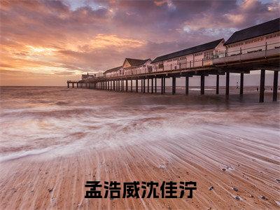 孟浩威沈佳泞免费阅读-(孟浩威沈佳泞)全文免费阅读无弹窗大结局(沈佳泞孟浩威)最新章节列表_笔趣阁
