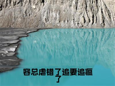 容总虐错了追妻追疯了全本资源免费阅读结局无删节主角:盛云意容斯然小说全文阅读无弹窗