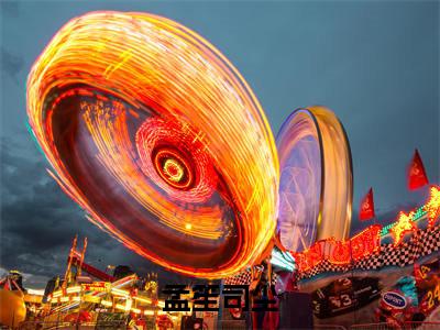 孟笙司尘(司尘孟笙)全文免费阅读大结局_孟笙司尘最新章节列表_笔趣阁