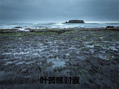 叶筠林时渡(叶筠林时渡)小说全文免费_叶筠林时渡(叶筠林时渡)最新章节目录笔趣阁