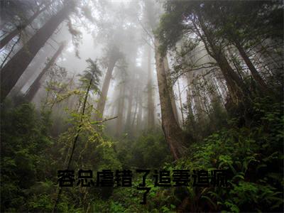 盛云意容斯然小说(容总虐错了追妻追疯了)免费阅读_盛云意容斯然小说免费阅读-笔趣阁