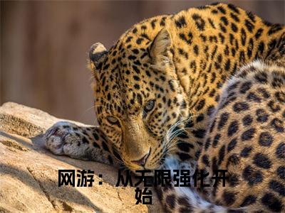 (网游:从无限强化开始抖音小说)左牧小说全文阅读免费