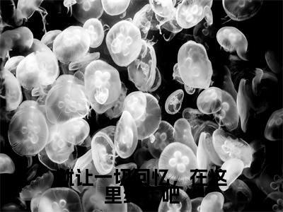 就让一切回忆,在这里终止吧(宋昭禾陆琮聿全文阅读)宋昭禾陆琮聿新书热荐免费小说