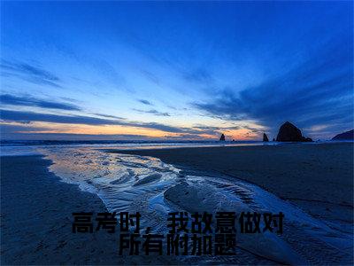 高考时,我故意做对所有附加题(霍廷章慕穗星)小说全文免费阅读无弹窗-高考时,我故意做对所有附加题小说全文免费阅读最新章节列表笔趣阁(霍廷章慕穗星)
