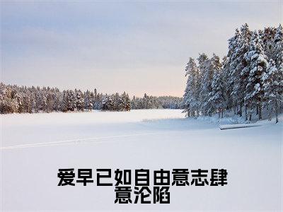 爱早已如自由意志肆意沦陷（黎衾沈吾之）全文免费阅读无弹窗大结局_爱早已如自由意志肆意沦陷免费阅读最新章节列表_笔趣阁（黎衾沈吾之）