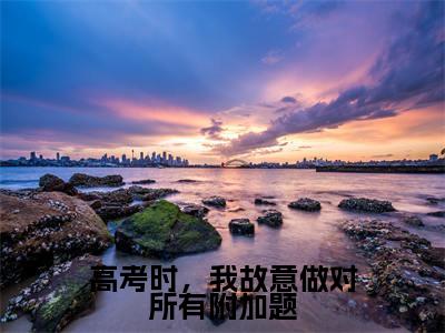 高考时,我故意做对所有附加题(霍廷章慕穗星)小说全文免费阅读_高考时,我故意做对所有附加题最新章节小说免费阅读_笔趣阁霍廷章慕穗星
