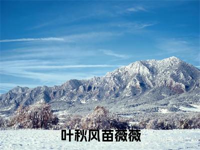 (叶秋风苗薇薇)全文免费阅读无弹窗大结局-苗薇薇叶秋风全文阅读无弹窗