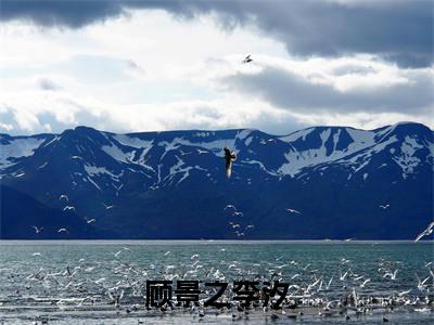 顾景之李汐(顾景之李汐)全文免费完结版阅读_(顾景之李汐)顾景之李汐最新章节列表笔趣阁