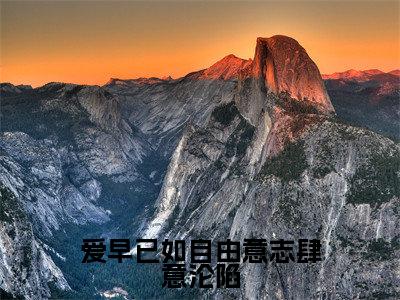 爱早已如自由意志肆意沦陷小说全文免费阅读无弹窗大结局_(爱早已如自由意志肆意沦陷)黎衾沈吾之最新章节列表笔趣阁