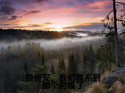 方思然顾恒安(顾恒安,我们等不到那个时候了)免费小说-顾恒安,我们等不到那个时候了(方思然顾恒安)最新章节完整版阅读