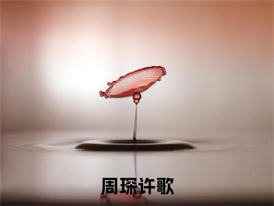周琛许歌小说在线阅读(周琛许歌)全文免费阅读大结局_周琛许歌最新章节列表笔趣阁