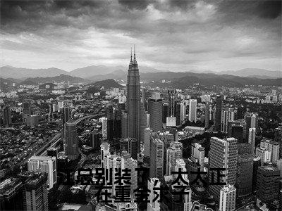 江砚舟沈知许全文免费阅读无弹窗大结局_(江总别装了,太太正在重金求子小说)江砚舟沈知许最新章节列表笔趣阁(江总别装了,太太正在重金求子)