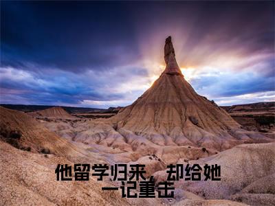 他留学归来，却给她一记重击小说（程向晚江云舟）全文免费阅读_他留学归来，却给她一记重击小说（程向晚江云舟）最新章节列表笔趣阁小说