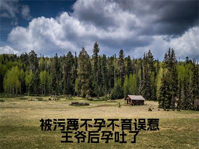 方清月(被污蔑不孕不育误惹王爷后孕吐了)全文免费阅读无弹窗大结局_(方清月小说全文免费阅读)最新章节列表