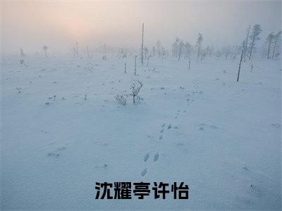 许怡沈耀亭全文推荐阅读,沈耀亭许怡热门榜单免费新书阅读