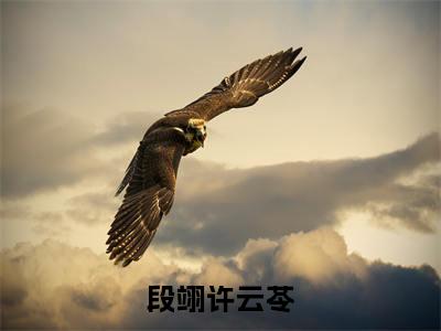 许云苓段翊(段翊许云苓)全文免费阅读无弹窗_段翊许云苓最新小说_笔趣阁