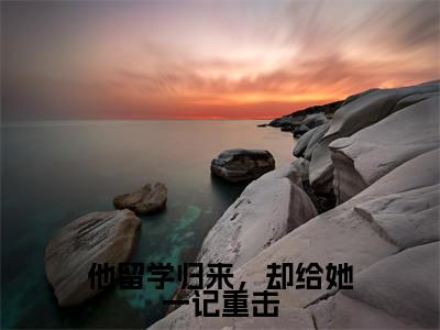 (全文)+(后续)(程向晚江云舟)他留学归来,却给她一记重击老书虫推荐小说热文-他留学归来,却给她一记重击最新更新免费阅读