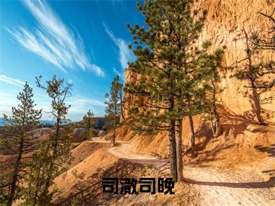 司澈司晚(司晚司澈)全文免费读无弹窗大结局_司澈司晚免费阅读全文大结局最新章节列表