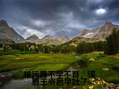 被污蔑不孕不育,误惹王爷后孕吐了在线阅读无弹窗_方清月最新章节列表_笔趣阁
