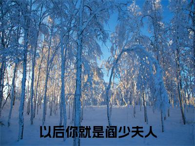 宋孟汐阎景御是什么小说-(以后你就是阎少夫人全文阅读)最新章节列表(番外)+(全文)