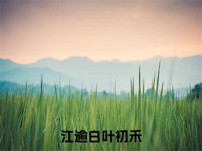 江逾白叶初禾(叶初禾江逾白)全文免费阅读-(叶初禾江逾白小说)江逾白叶初禾最新章节列表