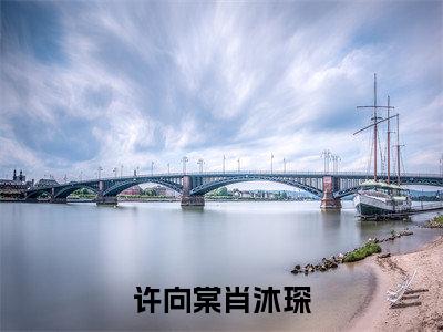 许向棠肖沐琛(许向棠肖沐琛)完整版小说阅读_-许向棠肖沐琛最新章节列表(许向棠肖沐琛)